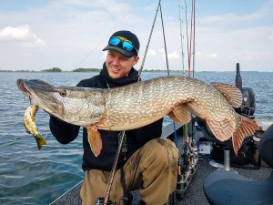 Grote snoek op kunstaas